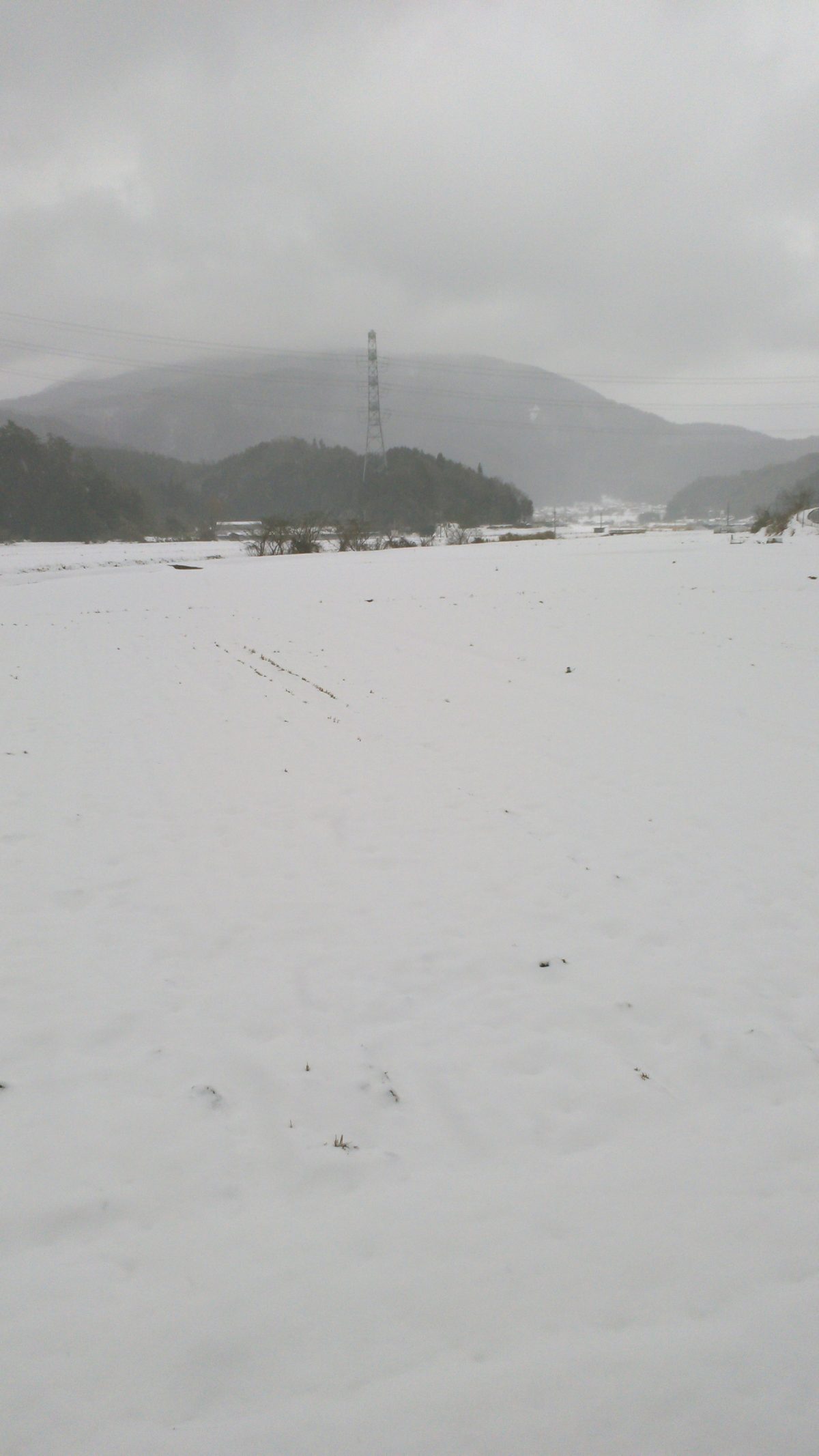 山口市阿東の積雪の様子１