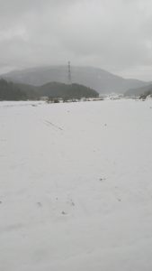 山口市阿東の積雪の様子１