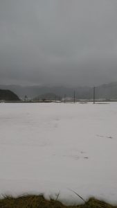 山口市阿東の積雪の様子