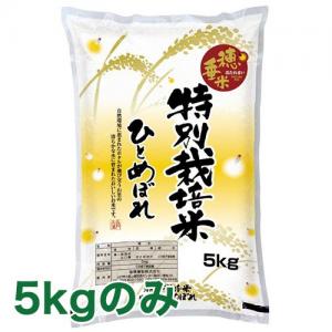 穂垂米特別栽培米ひとめぼれ