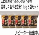 金のいぶき　お得なお試しセット　※送料無料※