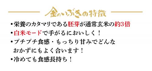 金のいぶき　お得なお試しセット　※送料無料※