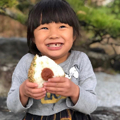 令和4年産新米山口県産こしひかり10kg