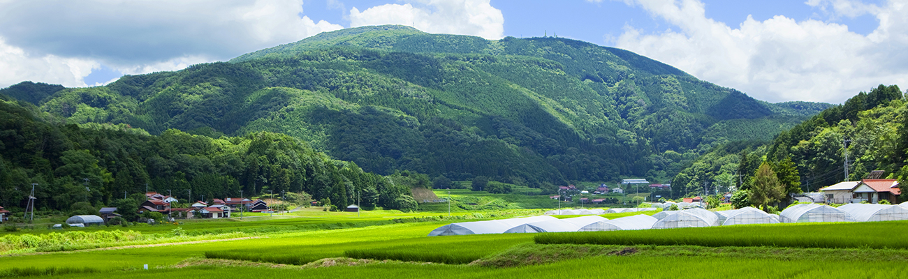 山口市阿東　十種ヶ峰