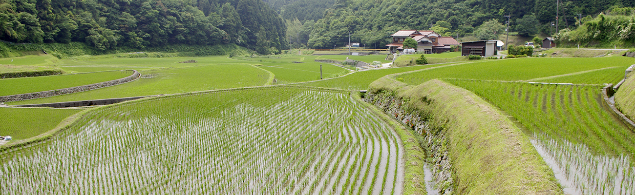 山口市徳地　串地区