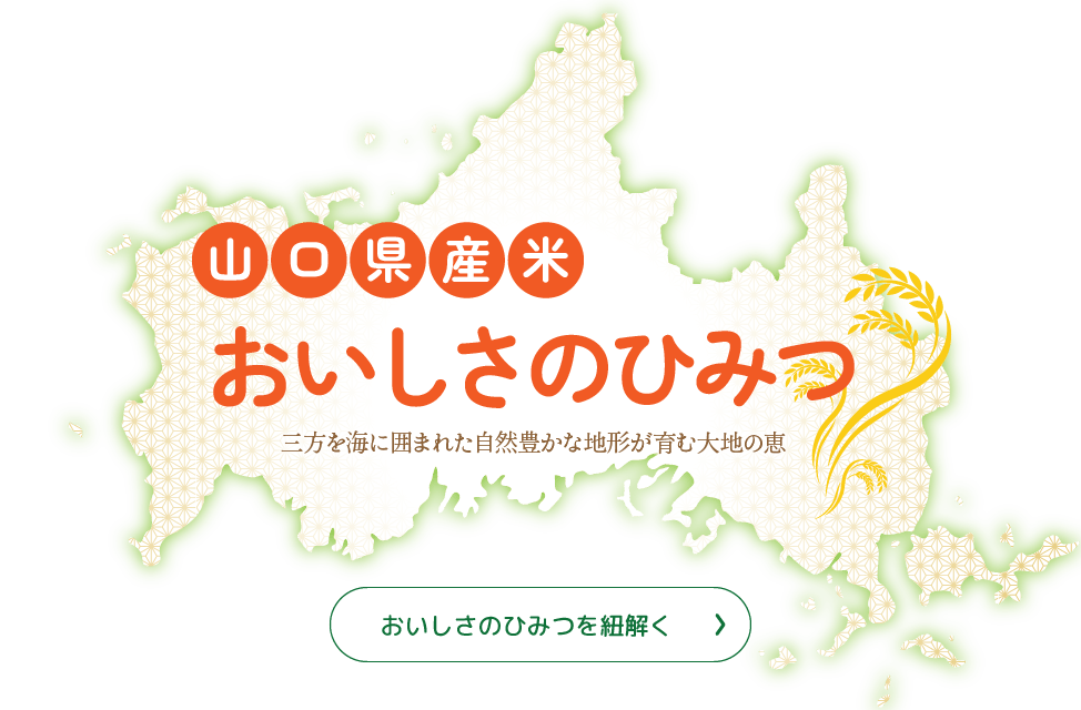 おいしさのひみつを紐解く